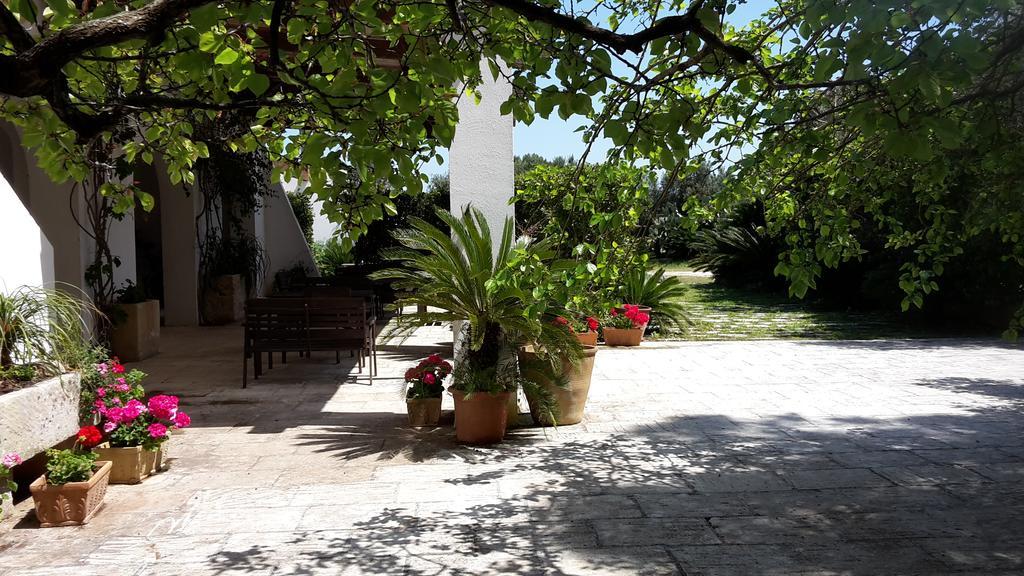 Agriturismo Vignavecchia 비냐카스트리시 외부 사진