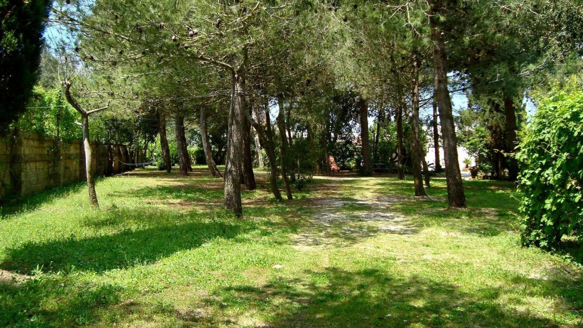Agriturismo Vignavecchia 비냐카스트리시 외부 사진