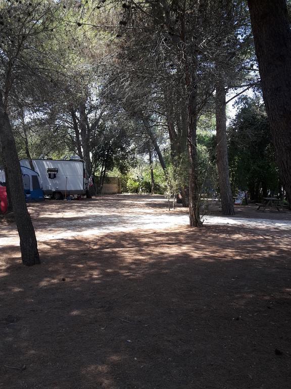 Agriturismo Vignavecchia 비냐카스트리시 외부 사진