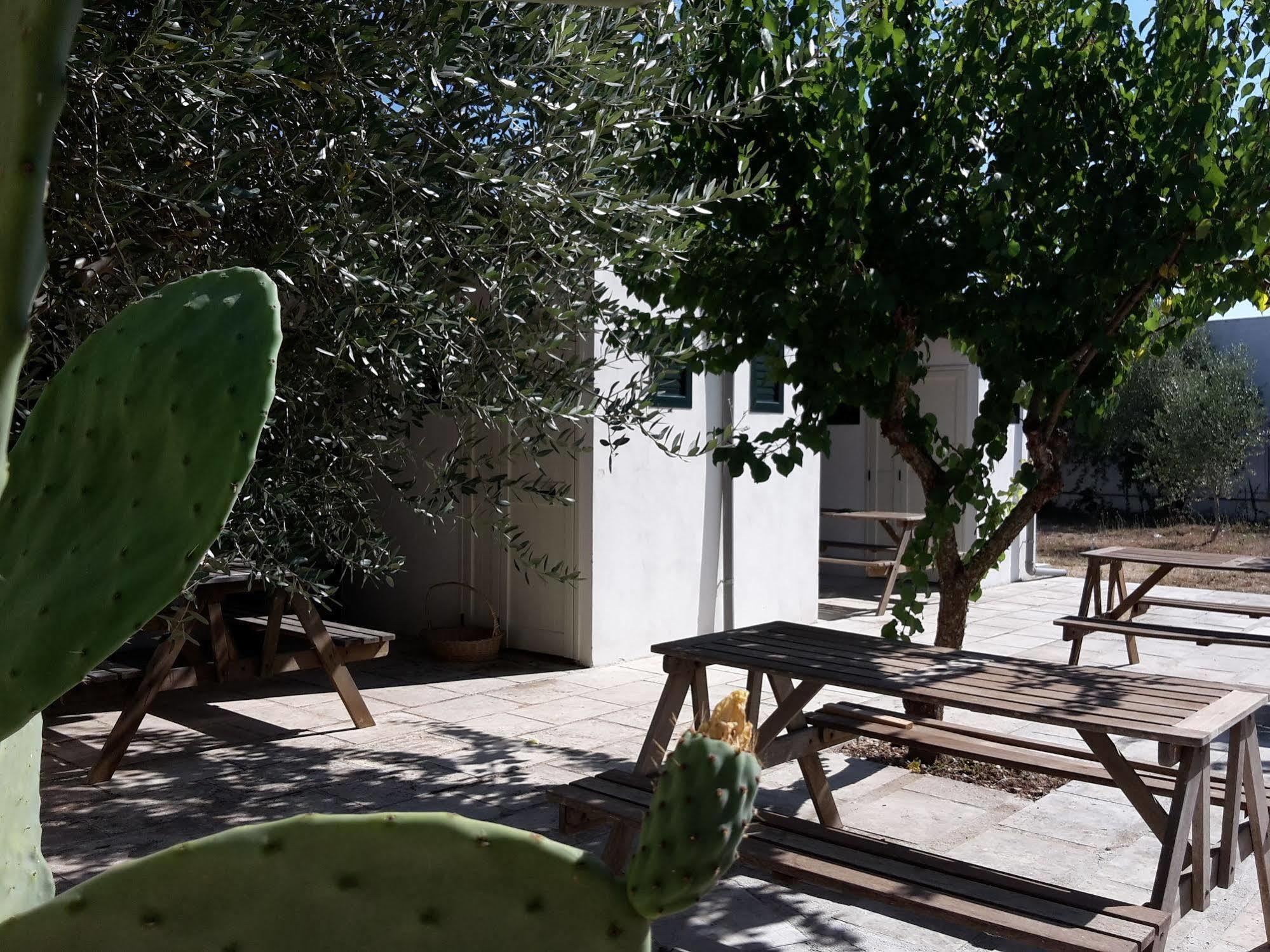 Agriturismo Vignavecchia 비냐카스트리시 외부 사진