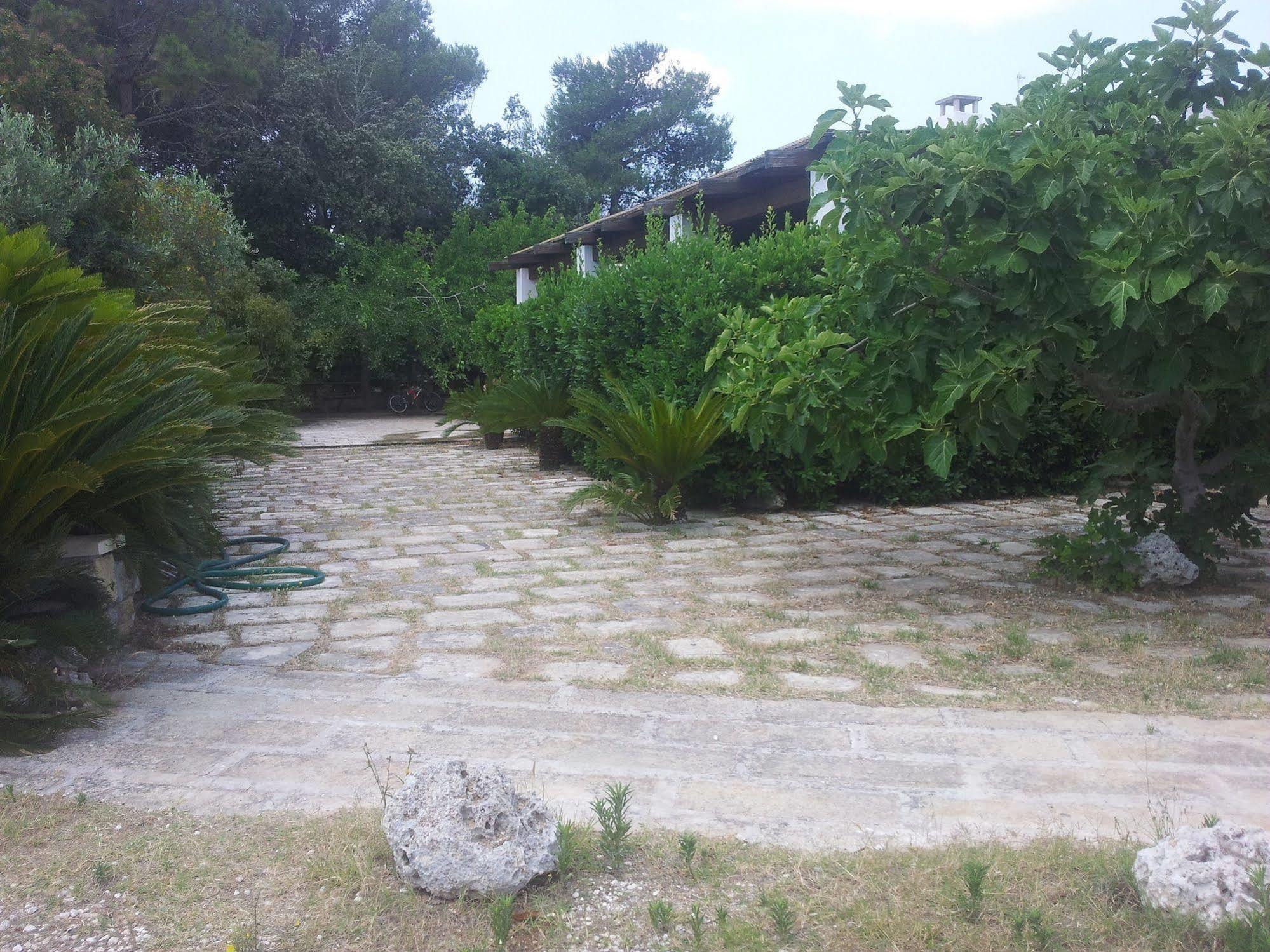 Agriturismo Vignavecchia 비냐카스트리시 외부 사진